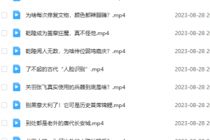 梨视频 动历史!视频